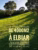 Vend terrain Elbiar de 4000m2